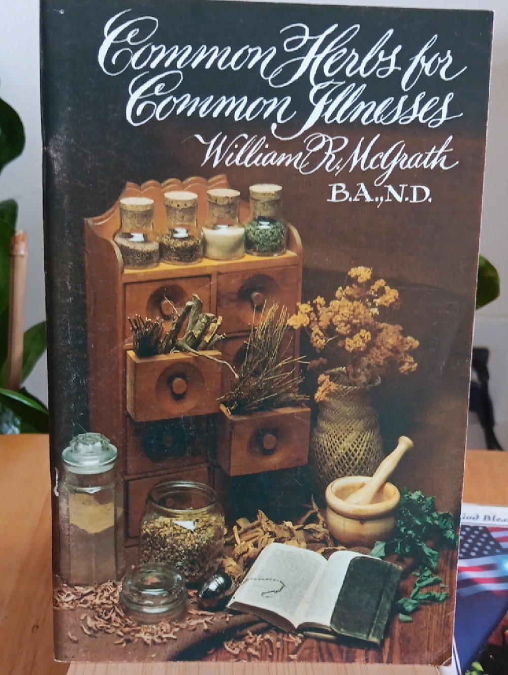 Common Herbs for Common Ailments - Green Paperback Cookbook - Picture 3 of 9